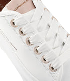 A. SMITH D Sneakers wembley glitter